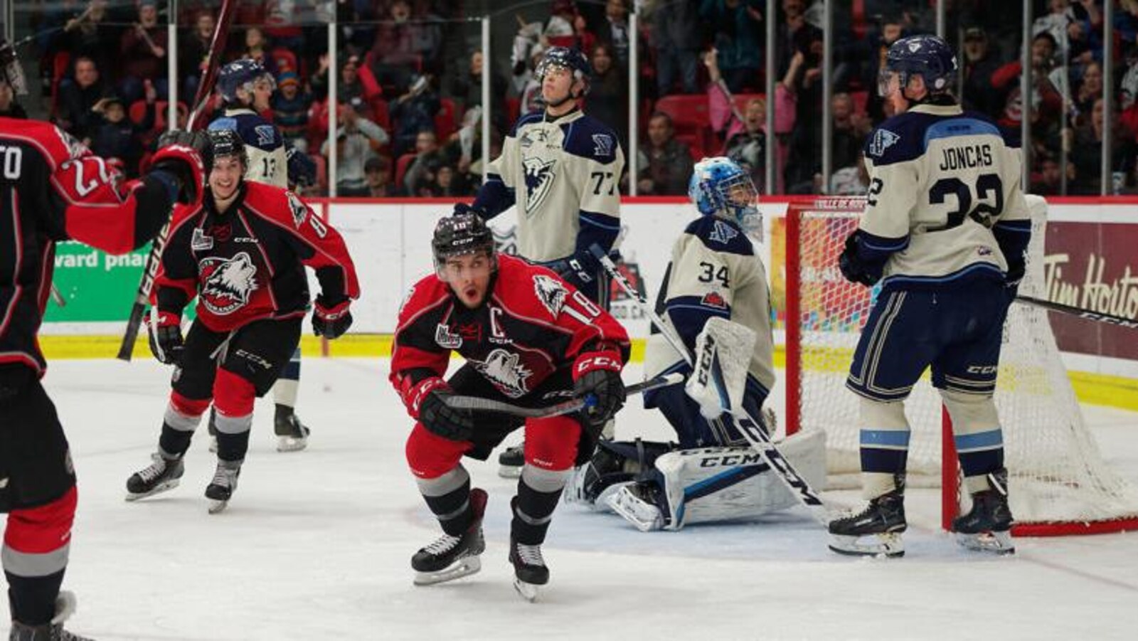 Le capitaine de l'équipe des Huskies de Rouyn-Noranda, Mathieu Boucher, célèbre un but contre le Phoenix de Sherbrooke.