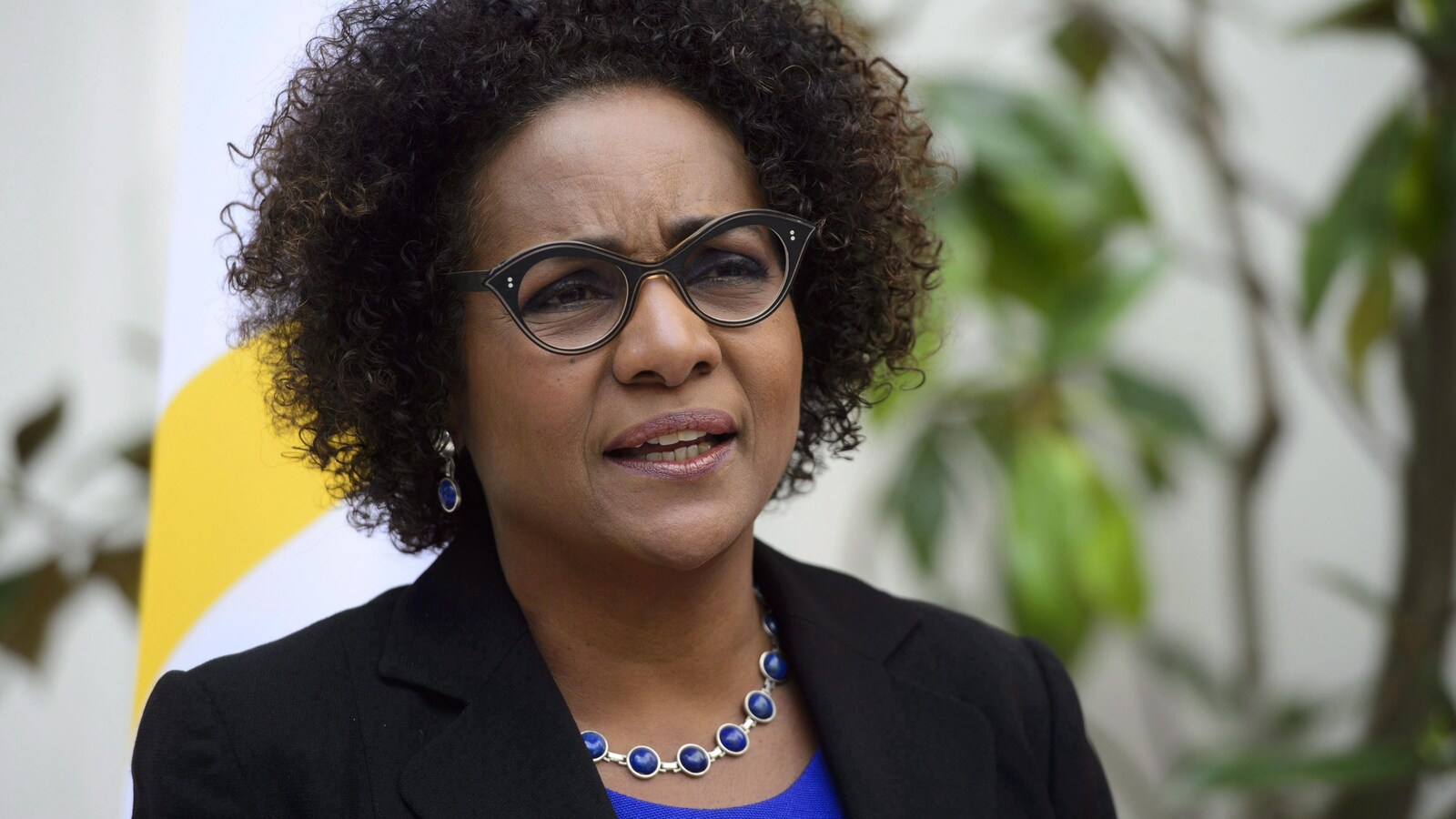 Gros plan de Michaëlle Jean devant le drapeau de l'Organisation internationale de la Francophonie.