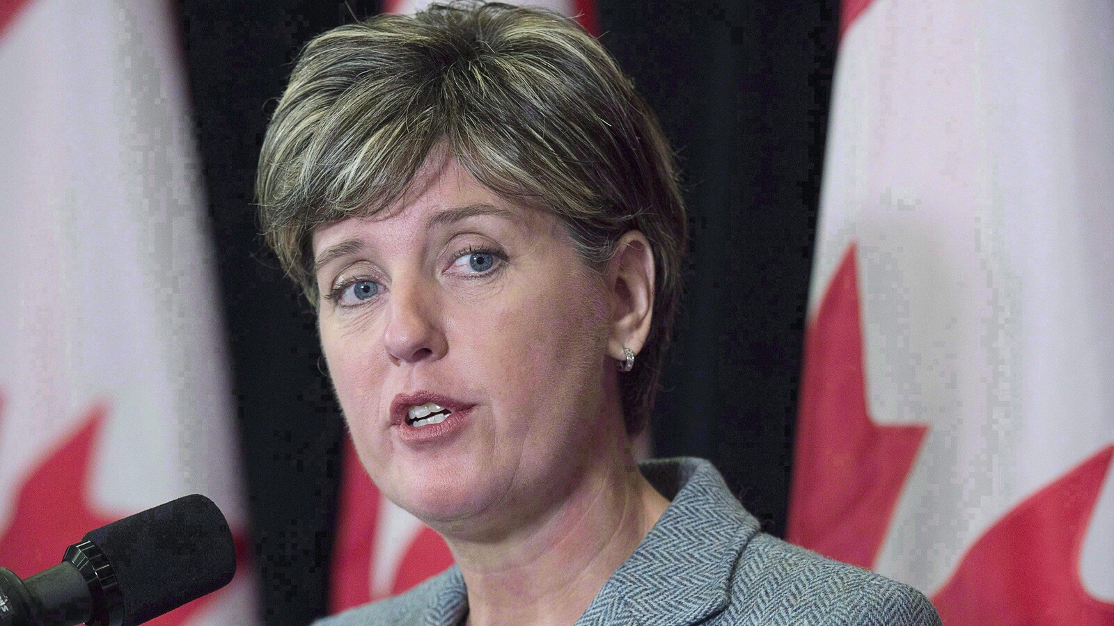 La ministre du Développement international Marie Claude Bibeau
