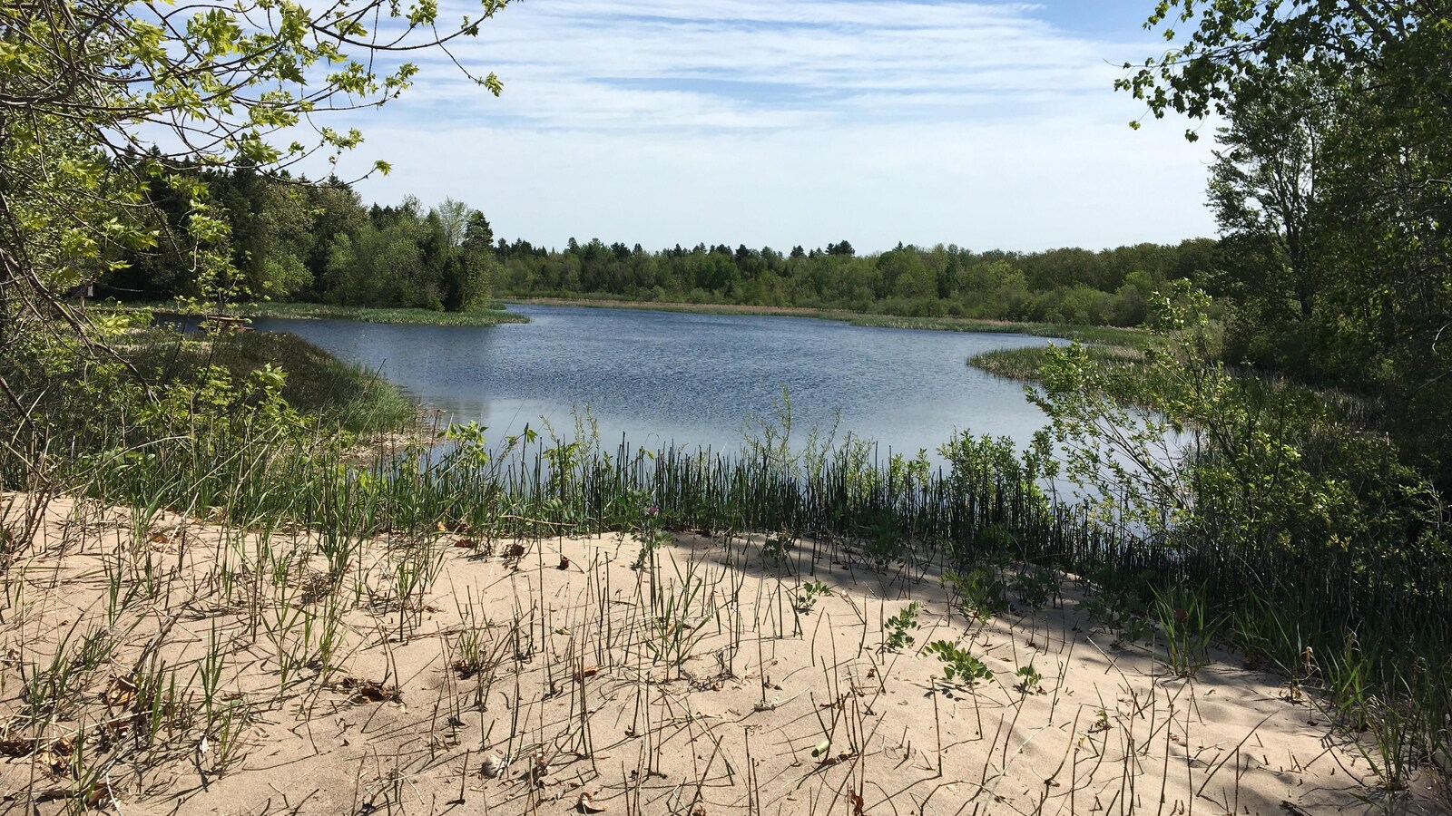 Un lac entourés d'arbres avec une petite plage à proximité.