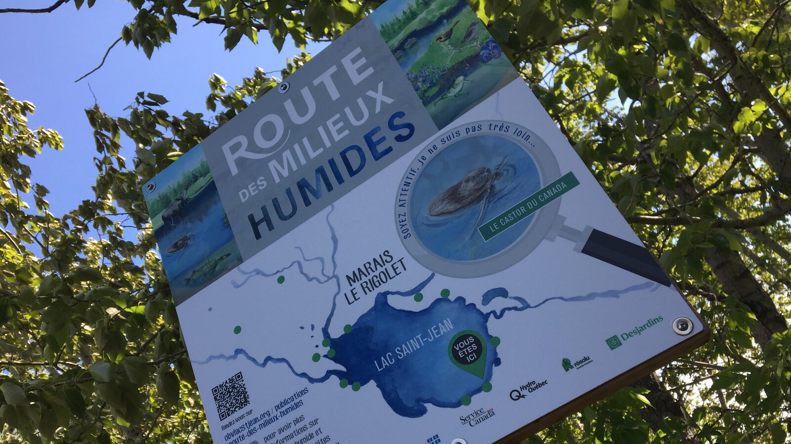 Une affiche devant des arbres où on peut lire «Milieux humides»