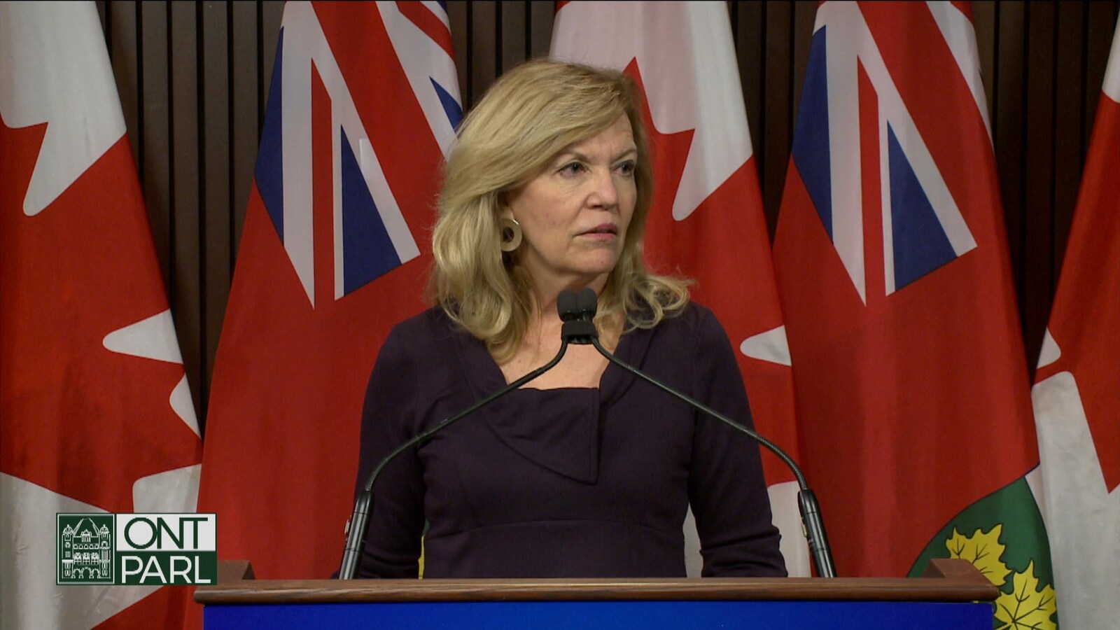La ministre ontarienne de la Santé Christine Elliott en point de presse devant des drapeaux
