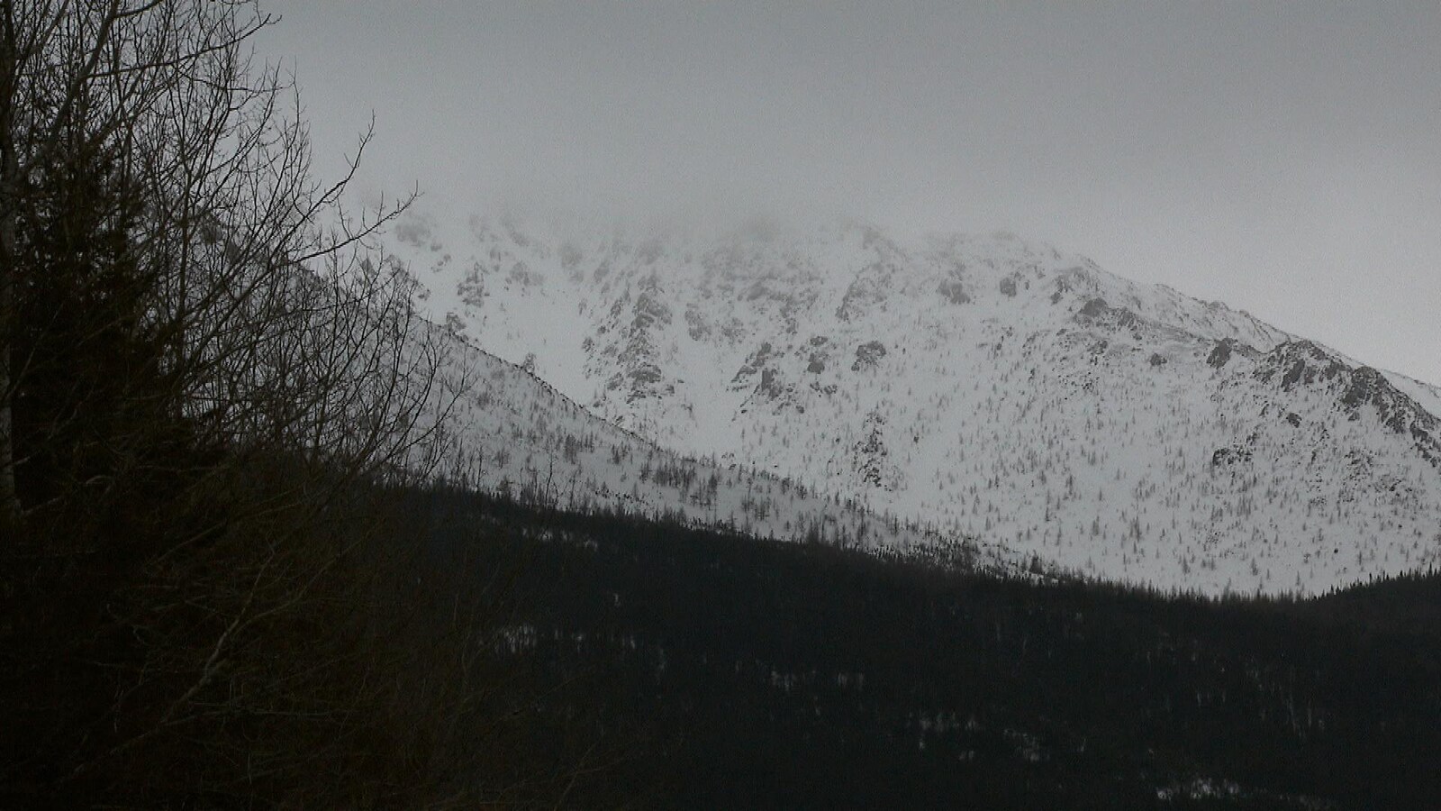 Des avalanches se déclenchent régulièrement sur le Mont-Albert