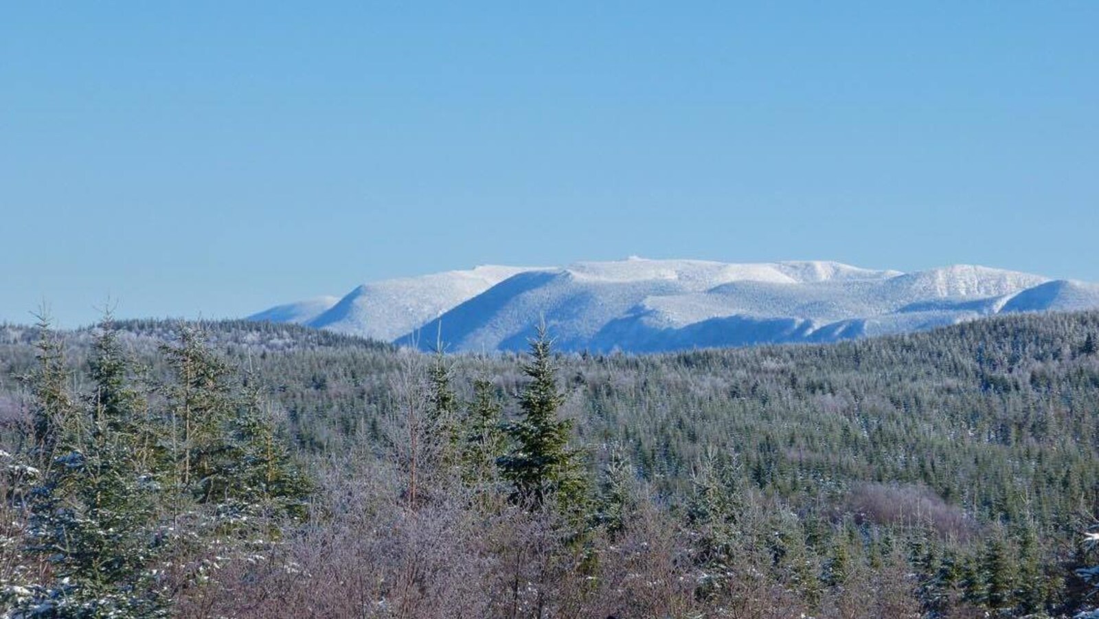 Sommets enneigés des monts Chic-Chocs dans la réserve faunique de Matane
