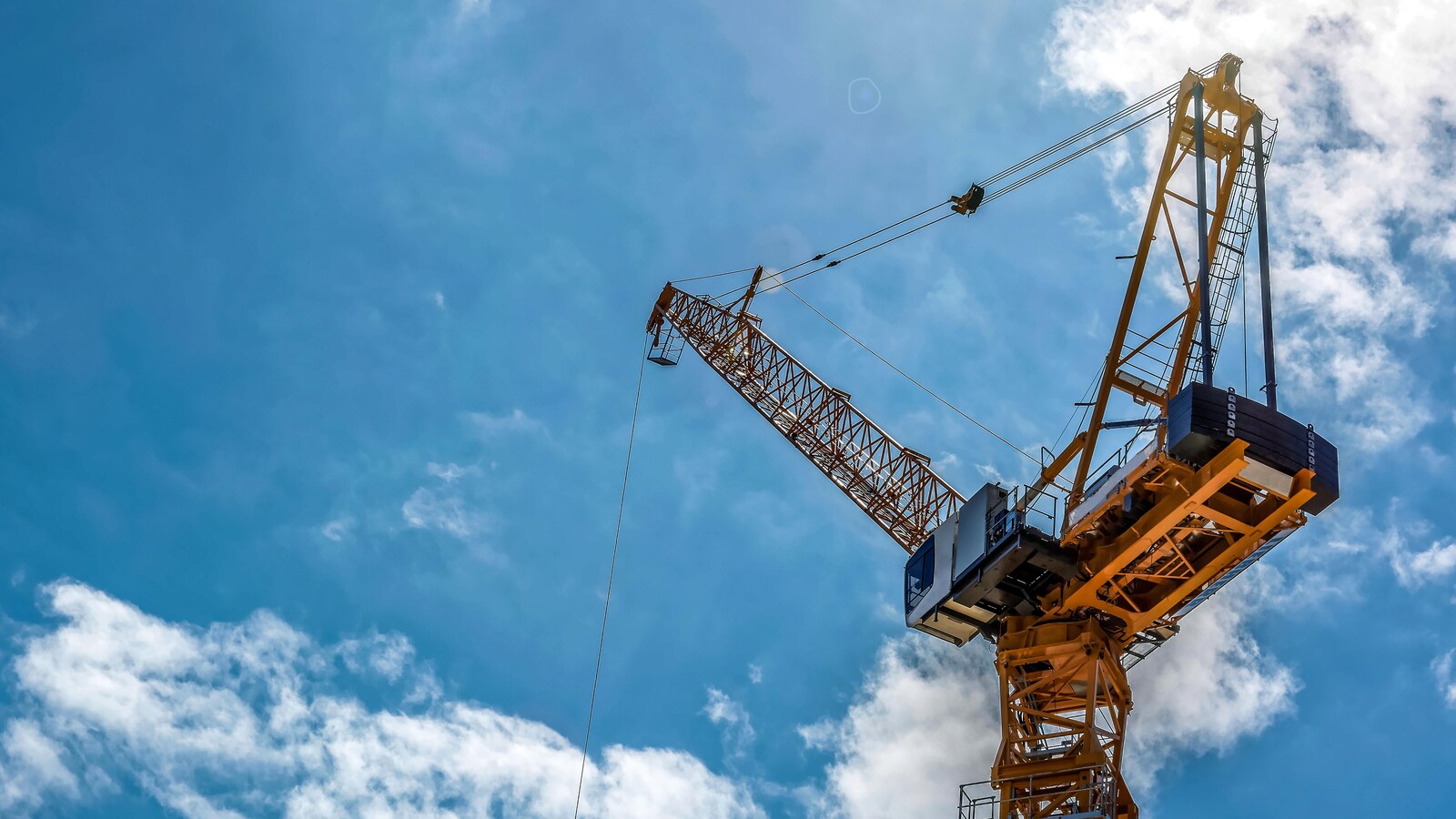 Une grue.