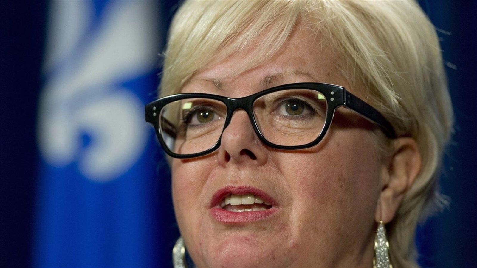 Sylvie D'Amours, porte-parole de la Coalition avenir Québec en matière d’agriculture, de pêcheries et d’alimentation et députée de Mirabel