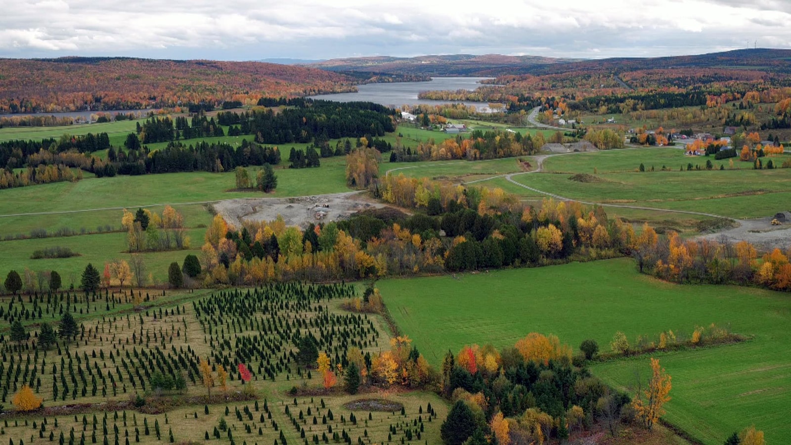 Vue en drone du paysage agricole et forestier.