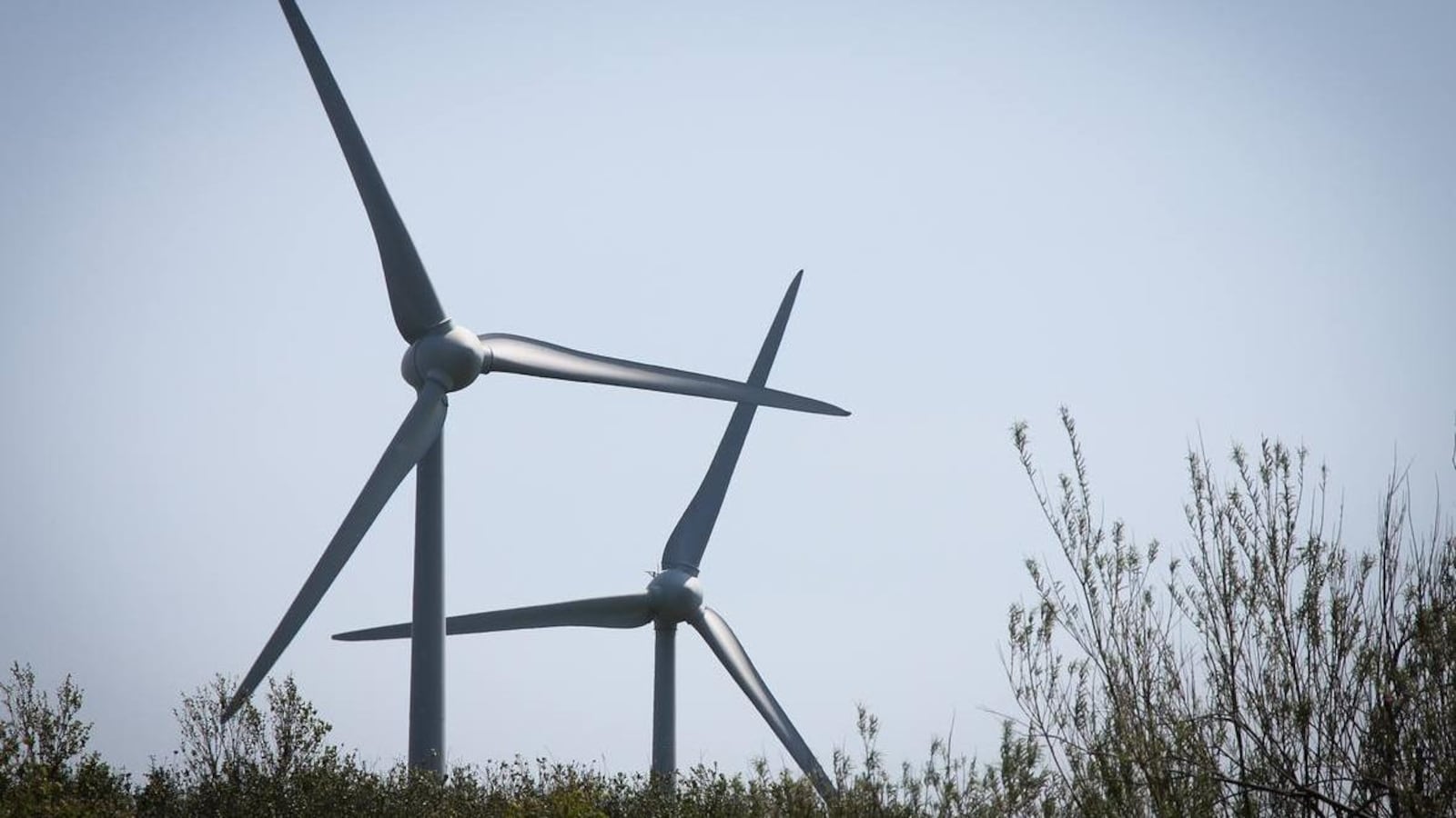 Des éoliennes.
