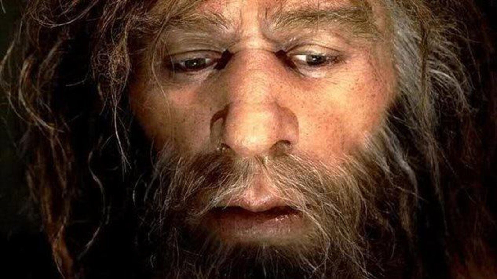 L'homme de Néandertal a transmis une partie de son patrimoine génétique à l'Homo sapiens.