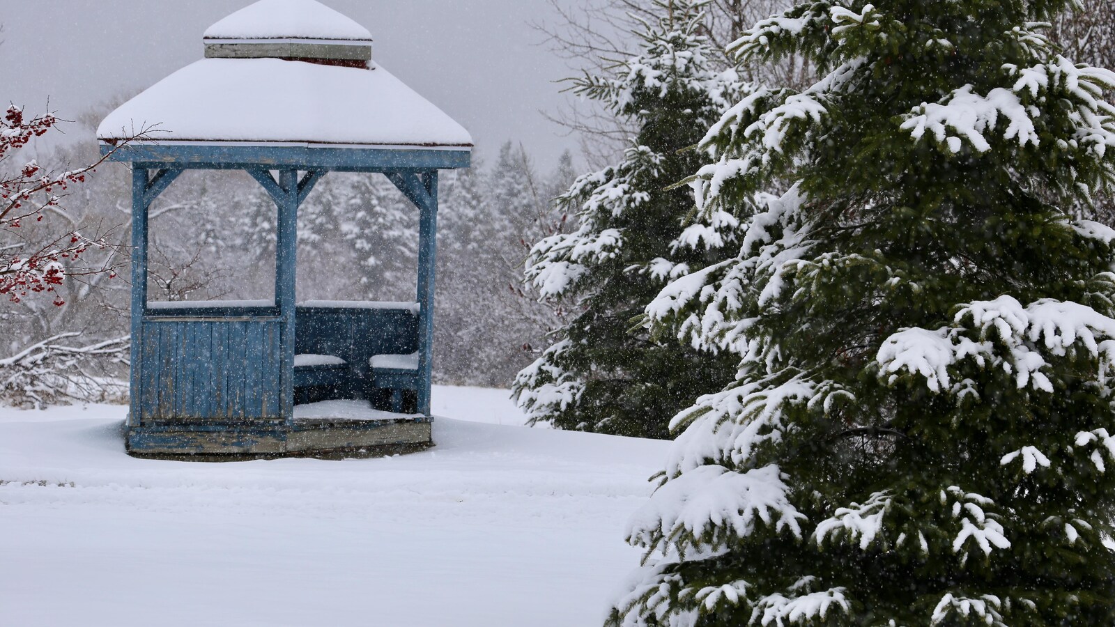 Plusieurs centimètres de neige sont tombés au parc régional de la Pointe-de-la-Martinière à Lévis.