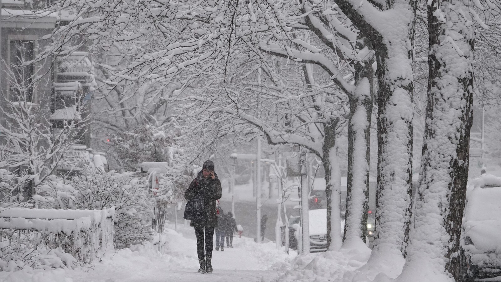 Une femme marche sur le trottoir, entourée d'arbres enneigés.