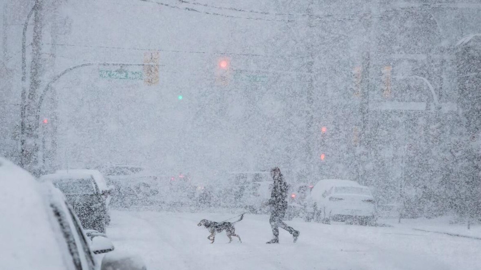 Un homme traverse une rue avec son chien dans une tempête de neige.