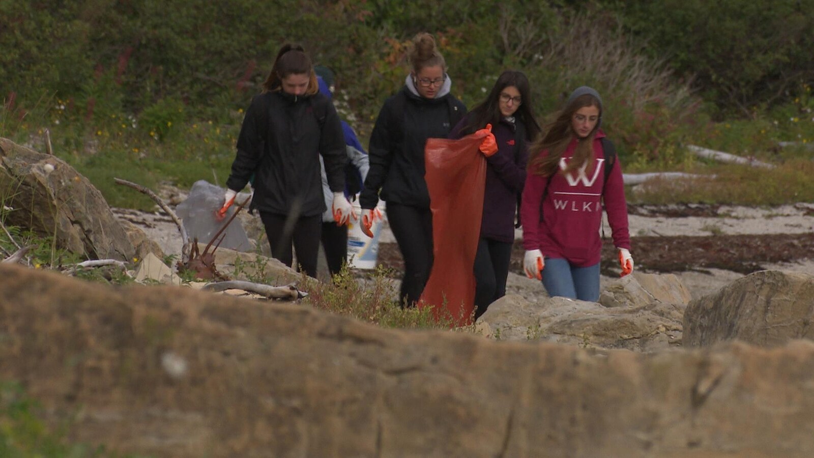 Des élèves équipés de gants et de grands sacs, marchent sur la berge