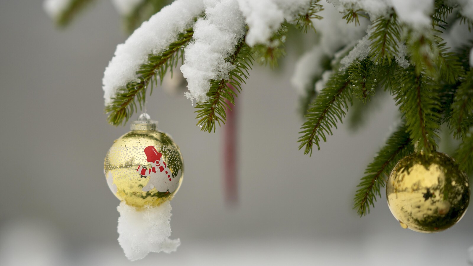 Des boules de Noël suspendues à un sapin enneigé.