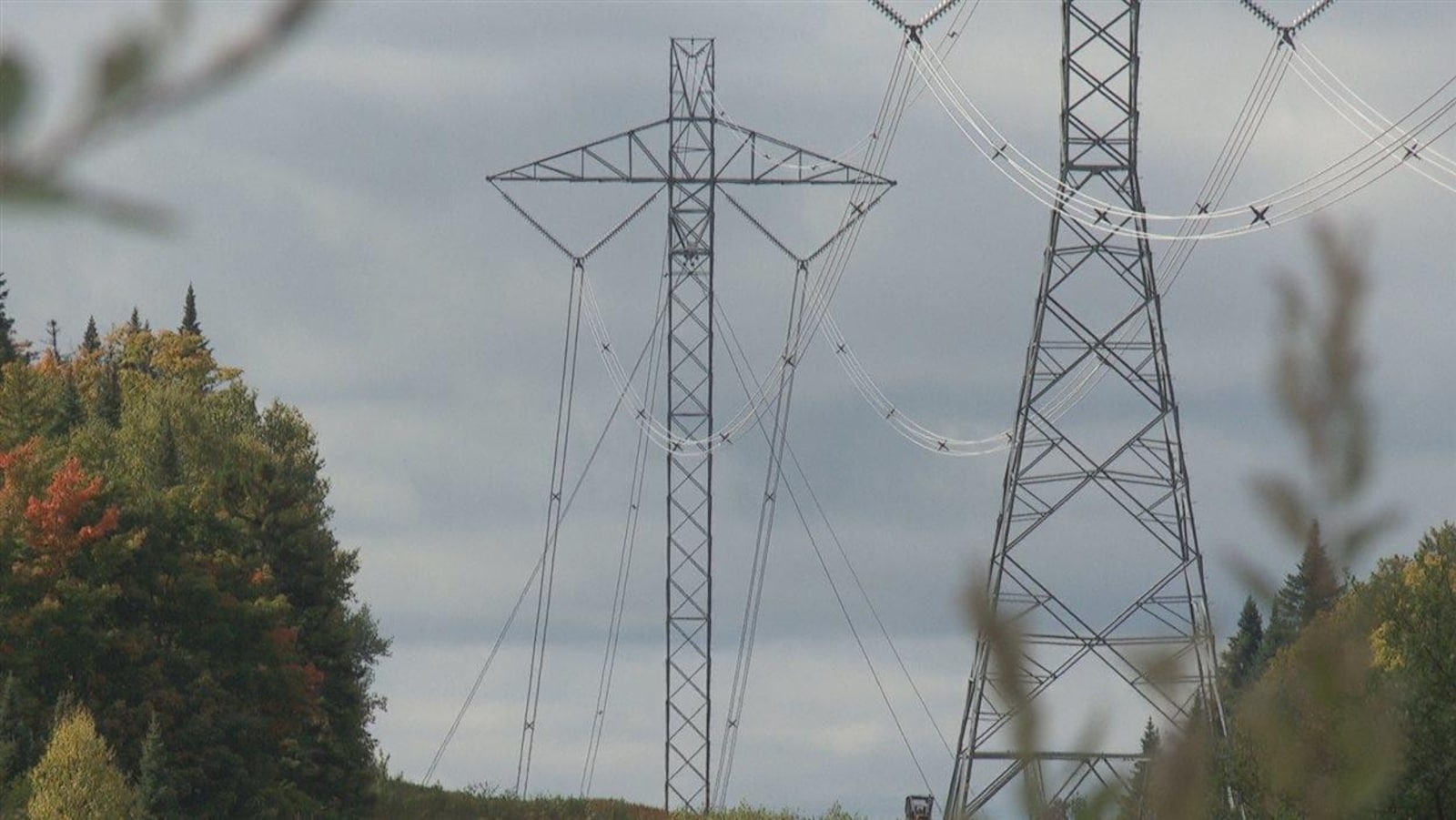 Des lignes d'Hydro-Québec entourées d'arbres.