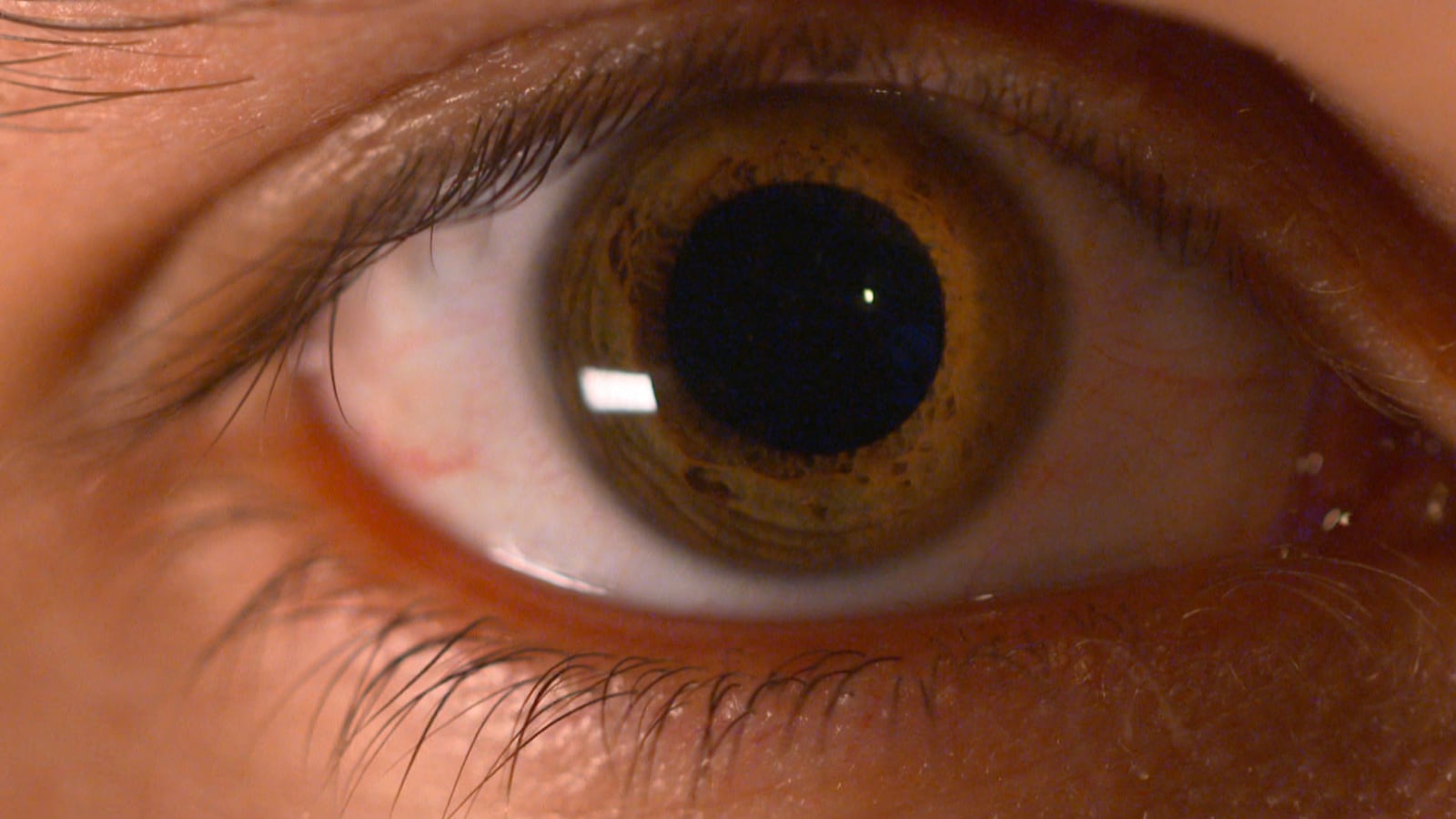On voit un oeil ouvert en gros plan.