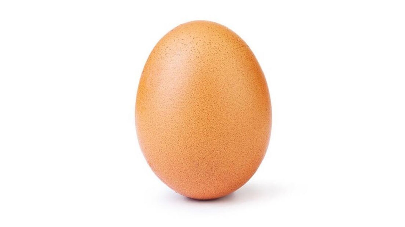 Une photo d'un oeuf brun, à la coquille légèrement orangée parsemée de petits points bruns.