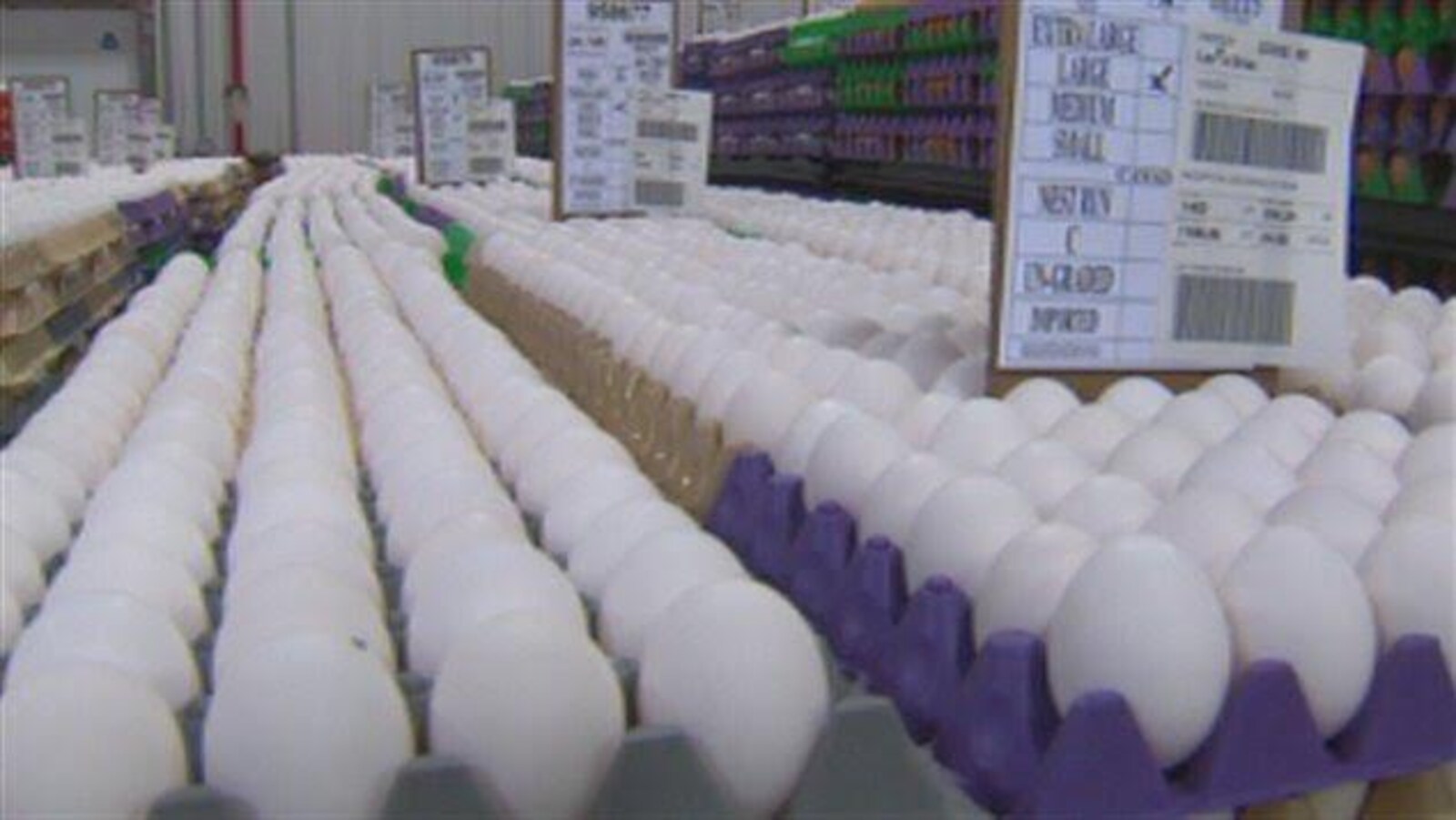 Des oeufs produits à l'usine Burnbrae d'Upton
