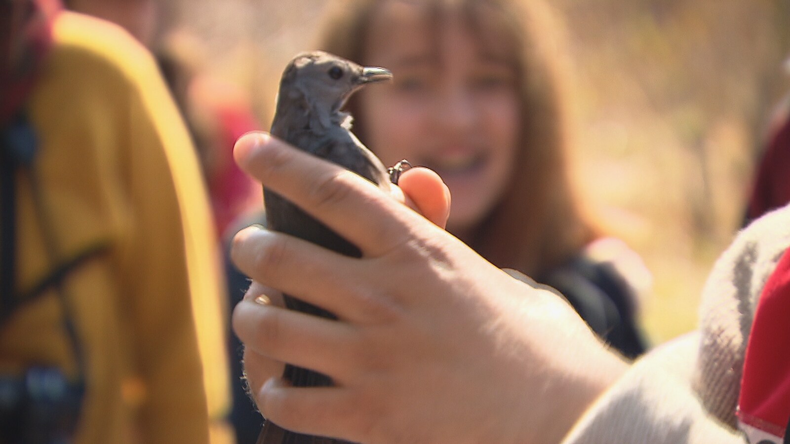 Les visiteurs à l'Observatoire d'oiseaux de Rimouski profitent de l'occasion inespérée de tenir un oiseau dans leurs mains.