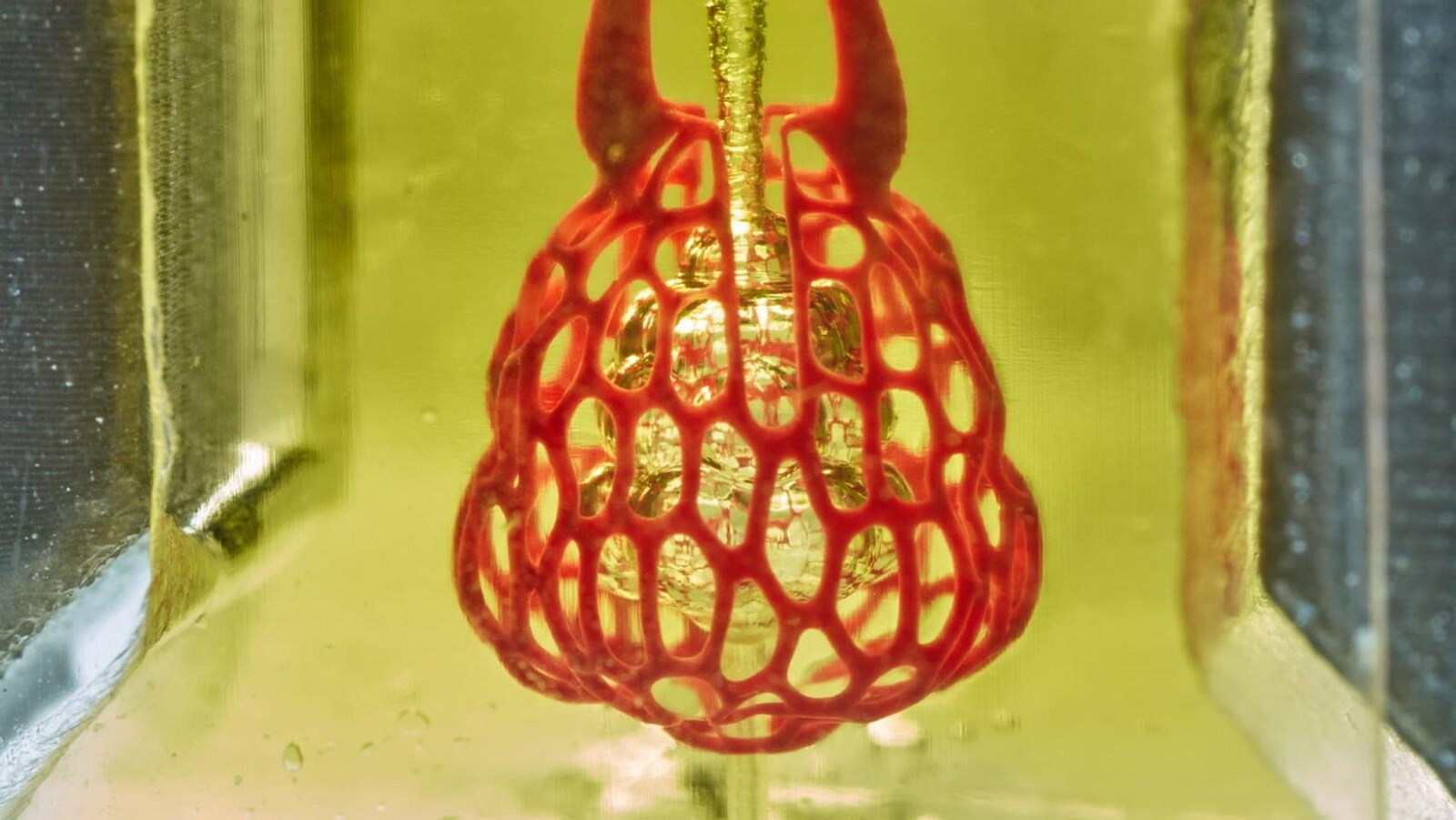 On voit en gros plan les petits vaisseaux qui composent cet « organe » artificiel, qui a la forme d'une poire.