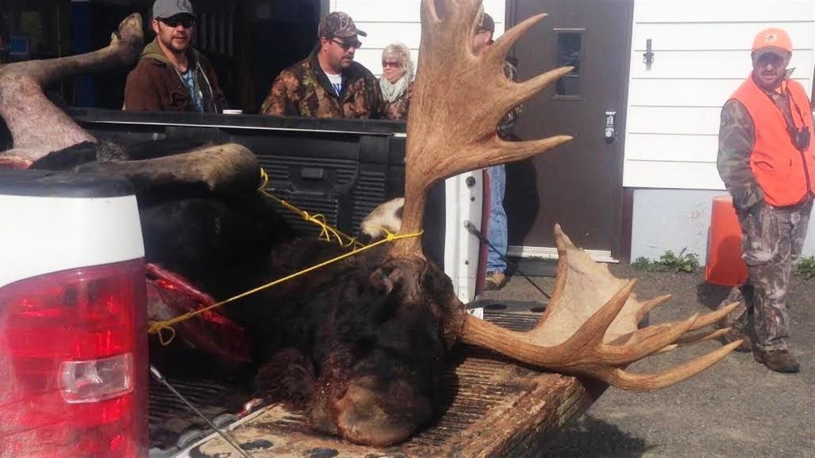 Chasseurs avec orignal tué.