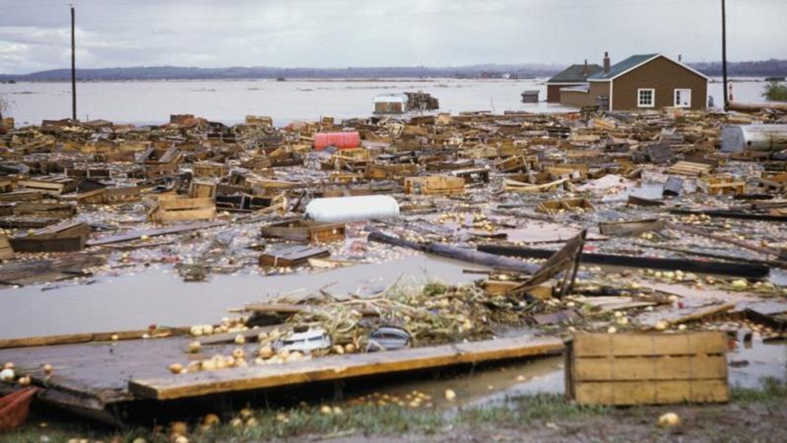 De très nombreux débris sont éparpillés partout après un ouragan. On voit même de gros réservoirs de mazout.
