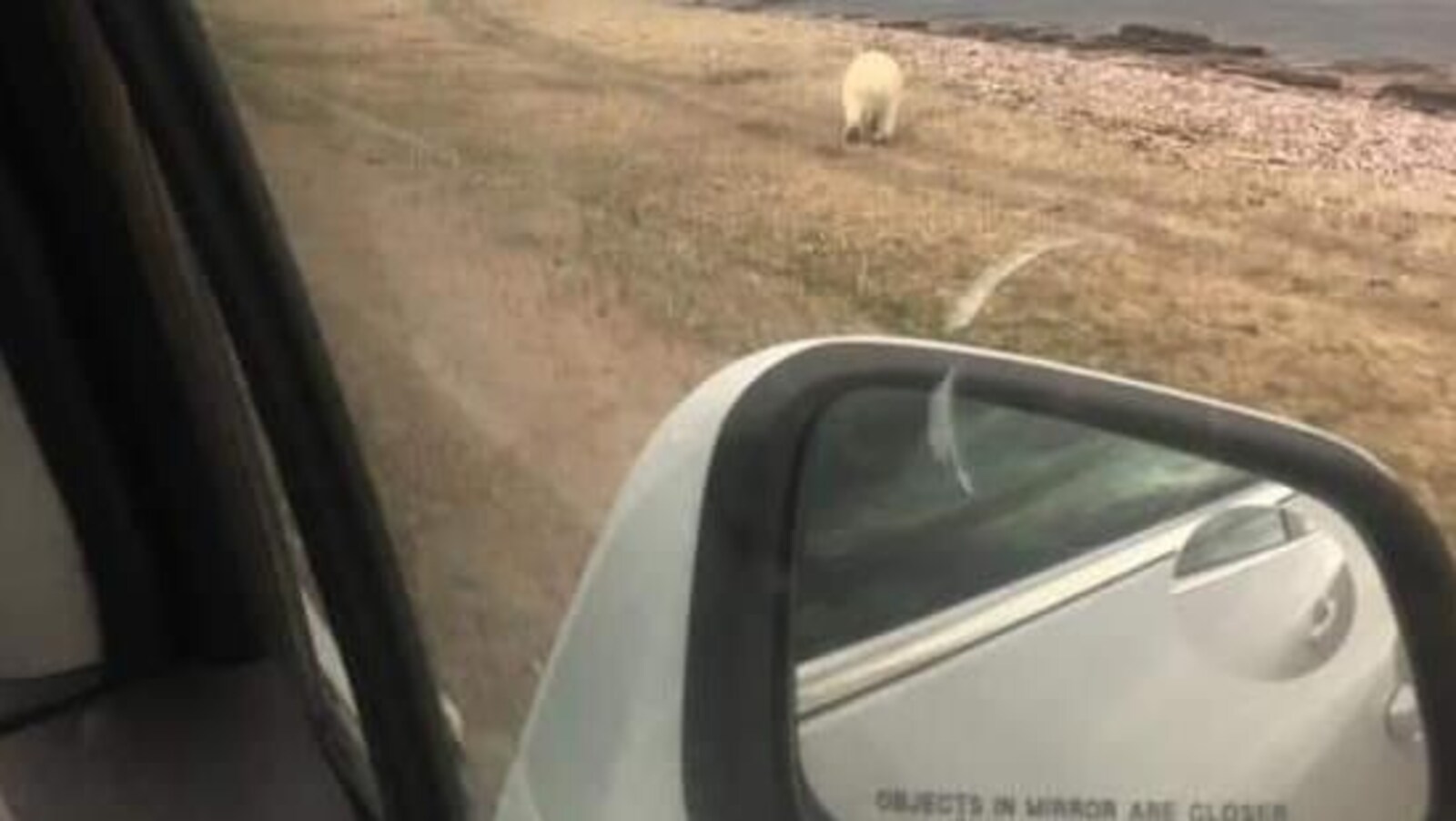 La photo est prise de l'intérieur du véhicule et l'on peut apercevoir le miroir sur la porte de la voiture.