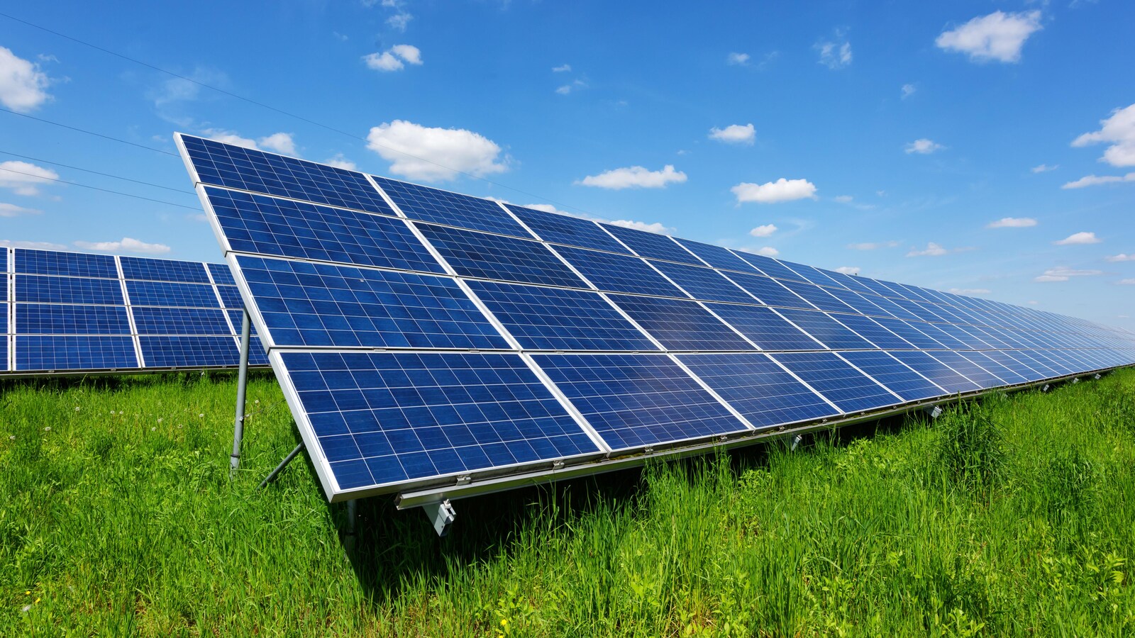 Des panneaux solaires.