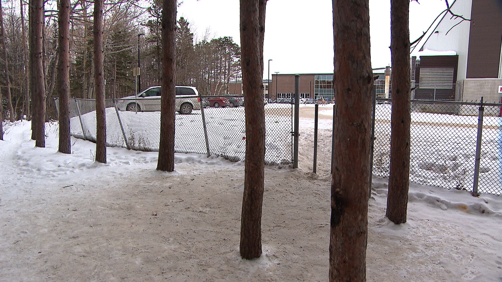 Un boisé et une bâtiment en arrière plan durant l'hiver.