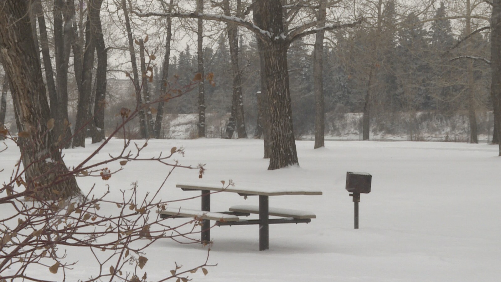 Une table à pique-nique est ensevelie par la neige dans un parc. Il y a des arbres autour.