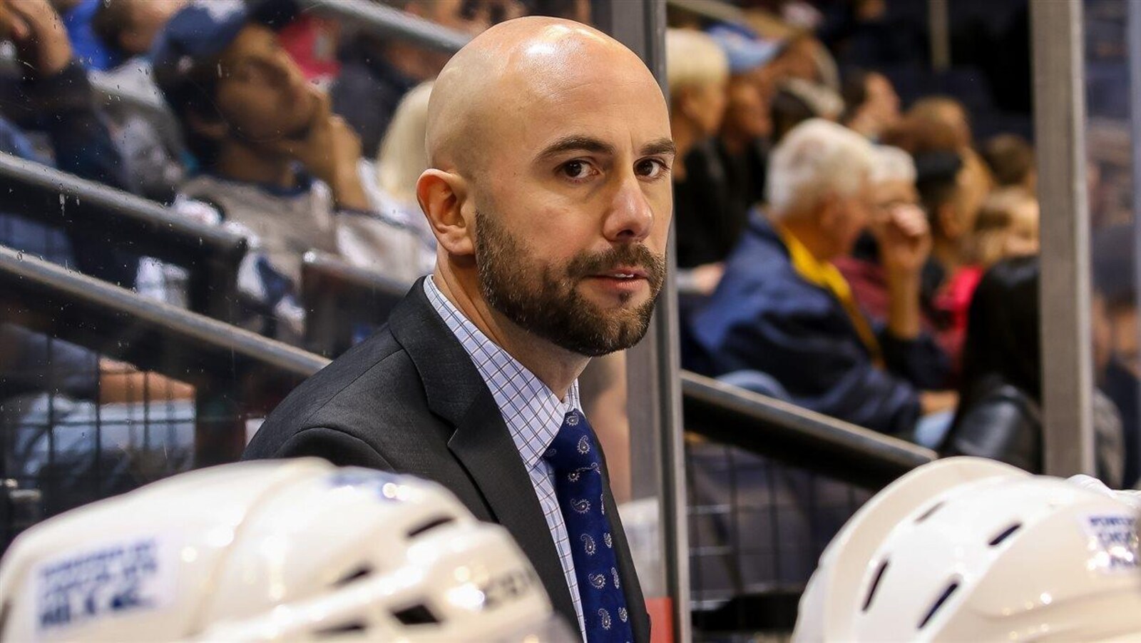 L'entraîneur-chef du Moose du Manitoba, Pascal Vincent, dirige un match de hockey.