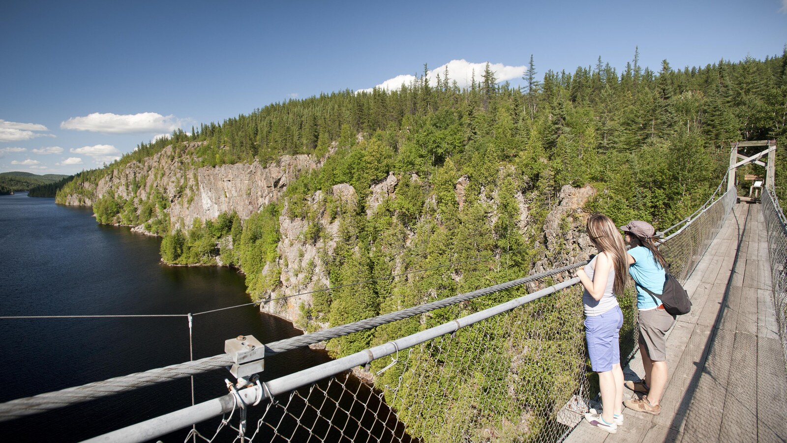 Passerelle suspendue, Parc national d'Aiguebelle