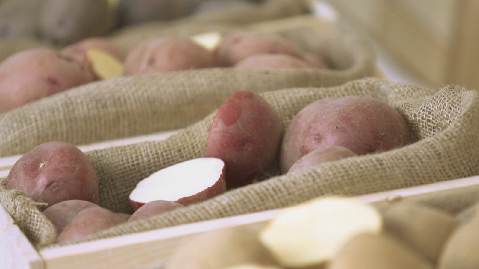 Des pommes de terre dans des paniers.