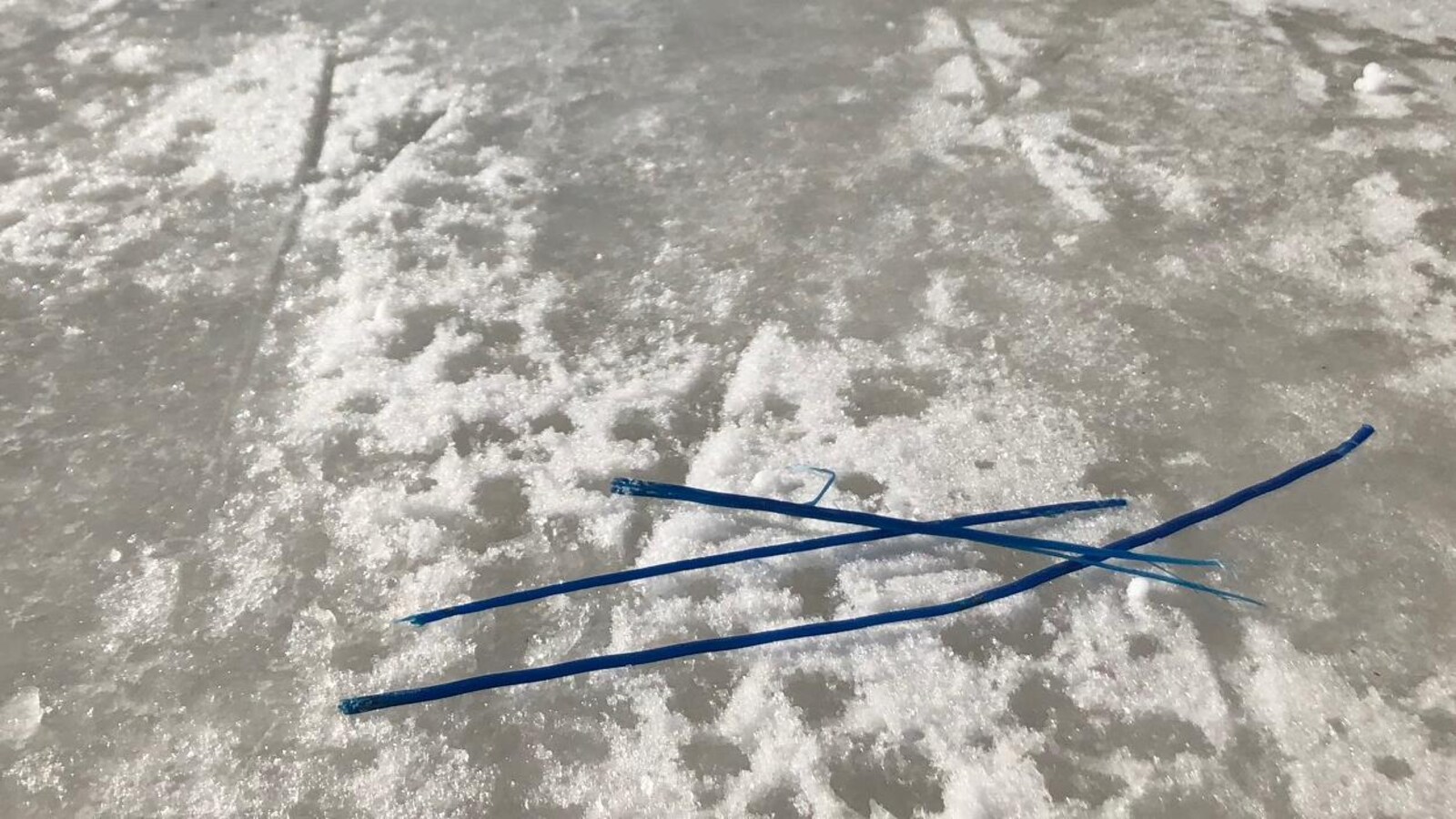 Des dents de brosse sur la patinoire du canal Rideau.
