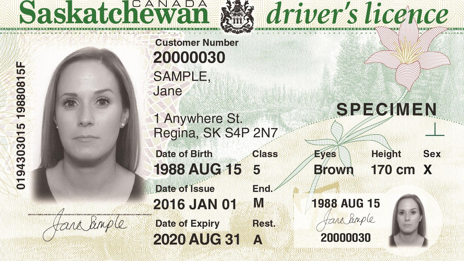 Un permis de conduire de la Saskatchewan avec un X dans le champ pour indiquer le genre.