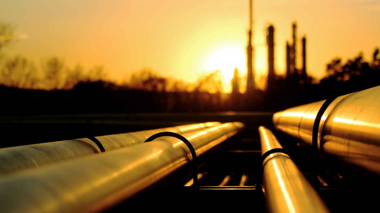 Le Canada a produit environ 3,6 millions de barils de pétrole par jour en 2016. 800 000 barils sont restés au pays, selon l'Office national de l'énergie.