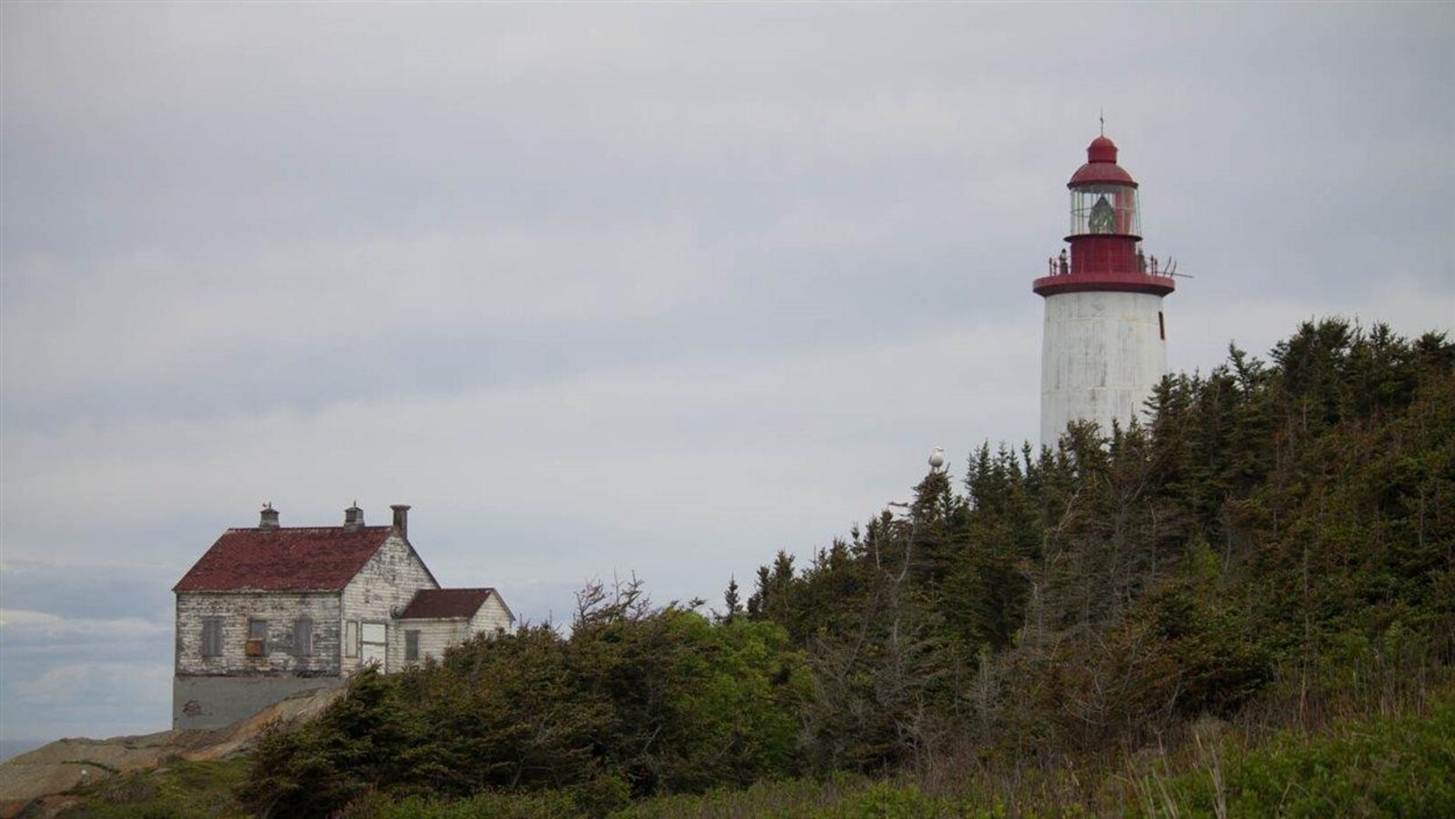 L'île Bicquette et son phare
