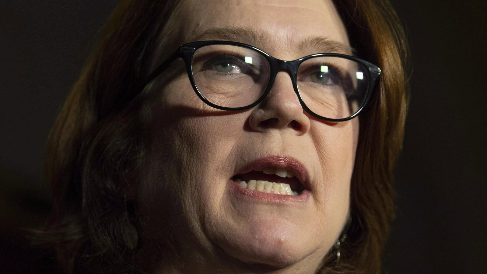 La ministre des Services aux Autochtones Jane Philpott en point de presse à Ottawa