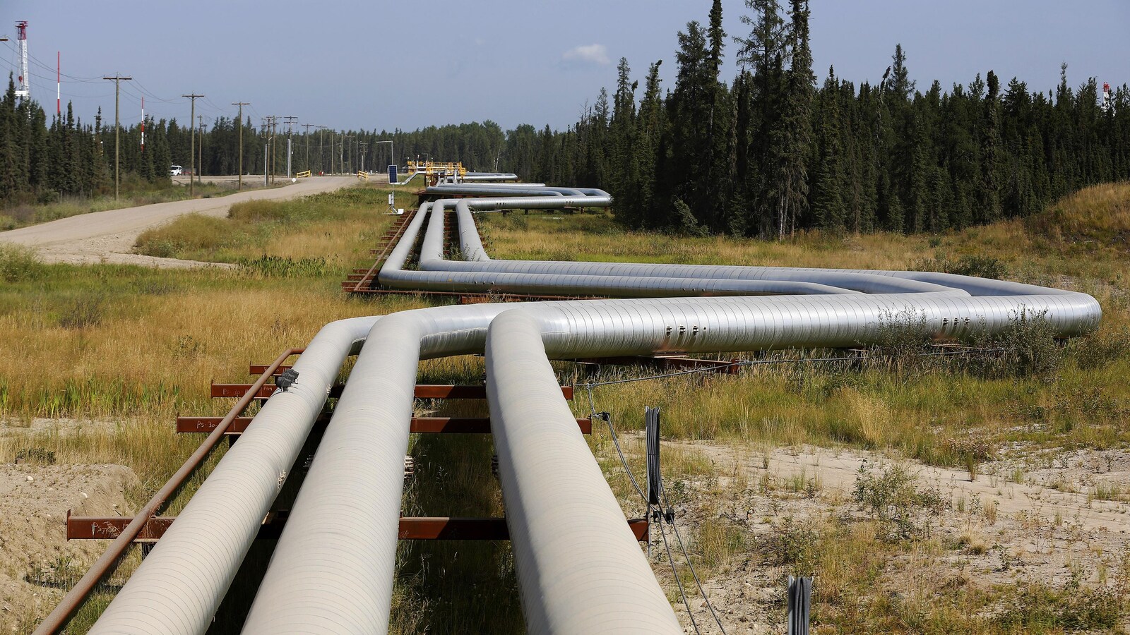 Trois pipelines de Cenovus Energy à Fort McMurray en Alberta longent une route et une forêt.