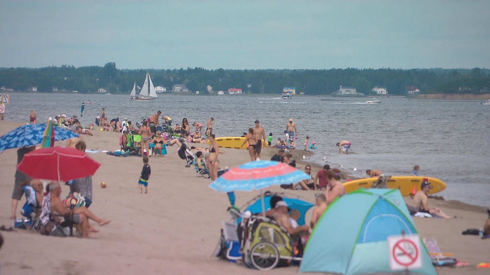 Des baigneurs sur la plage en été