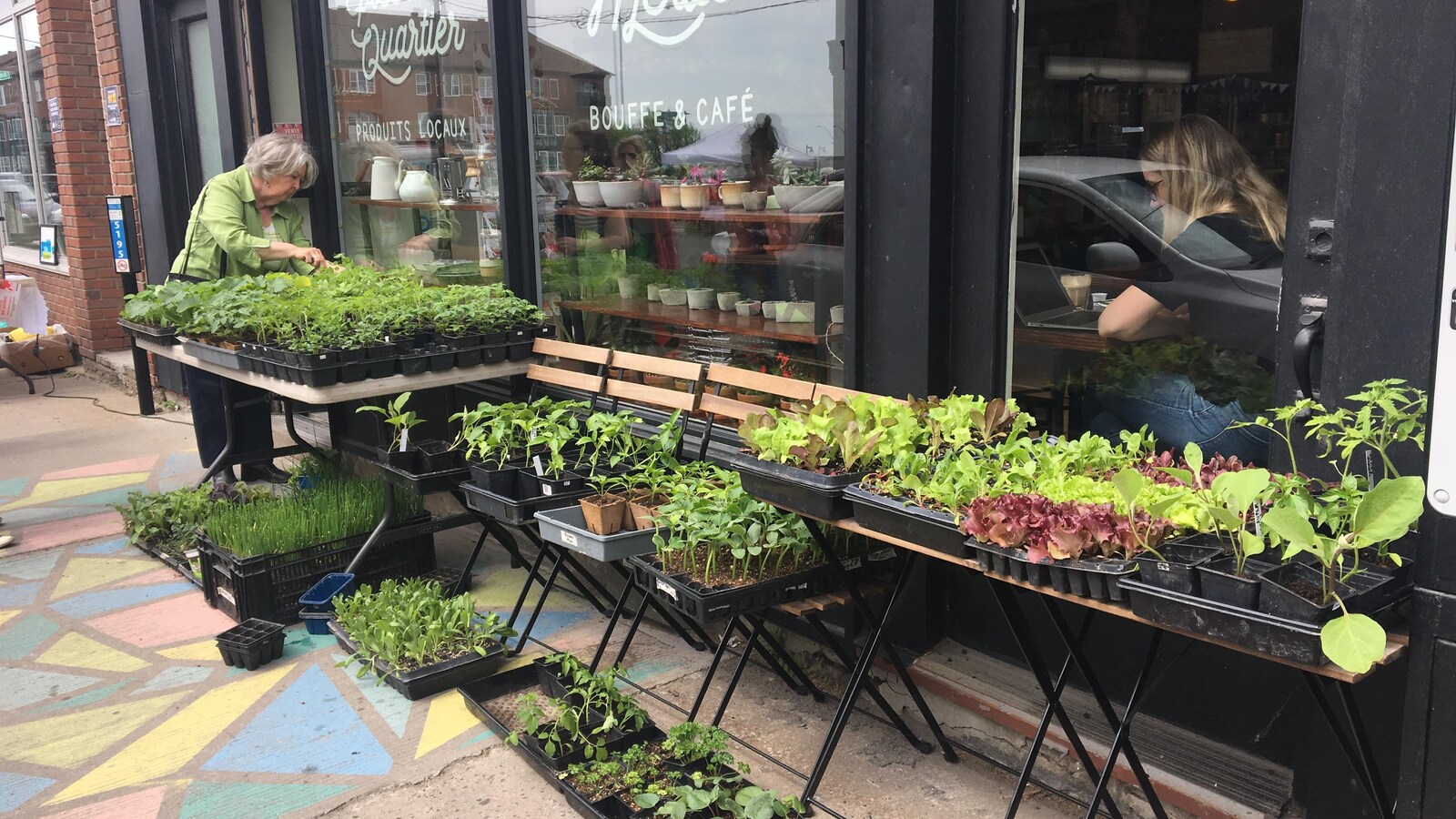 Des fines herbes et des plants de légumes font partie des produits offerts à la vente trottoir équitable à Trois-Rivières.