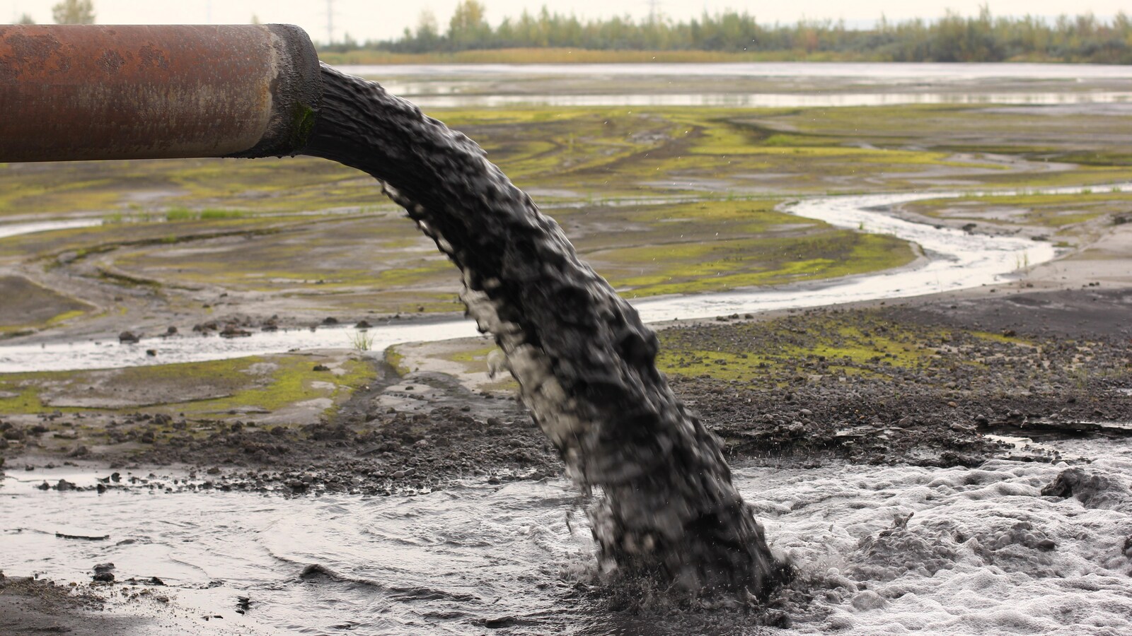 Un tuyau déverse de l'eau polluée sur un terrain vague.