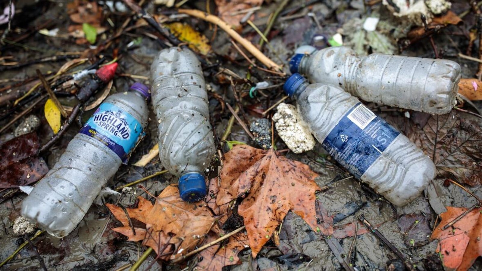 Des bouteilles de plastique vide traînant sur le sol mouill