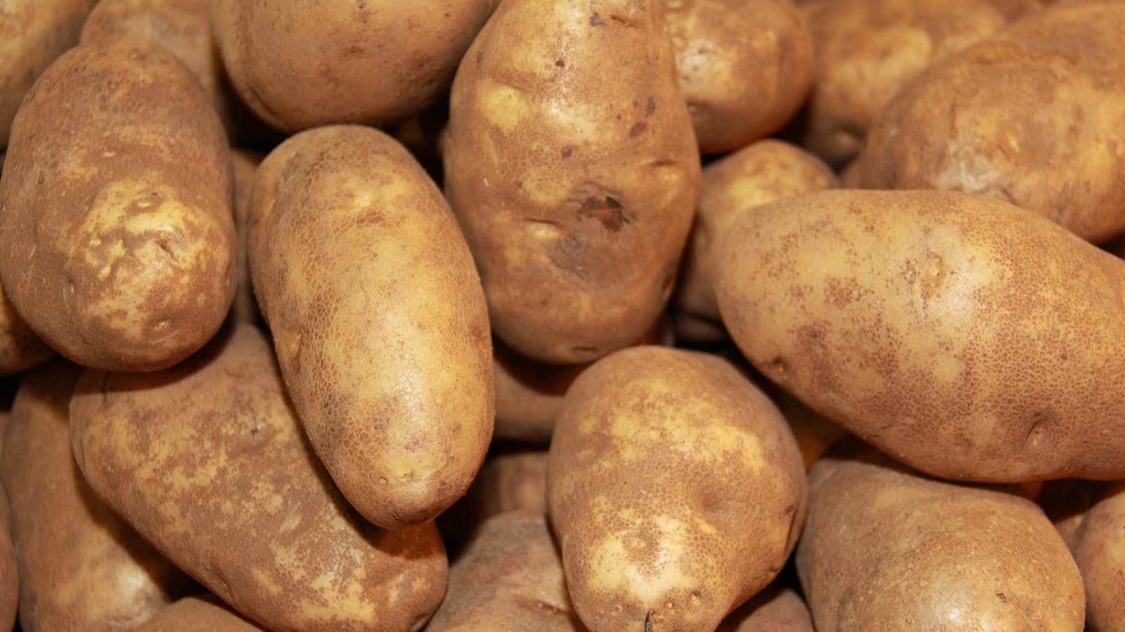 Des pommes de terre.
