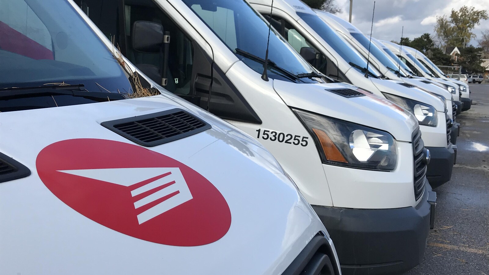 Photo de fourgonnettes blanches de Postes Canada qui sont stationnées en rangée
