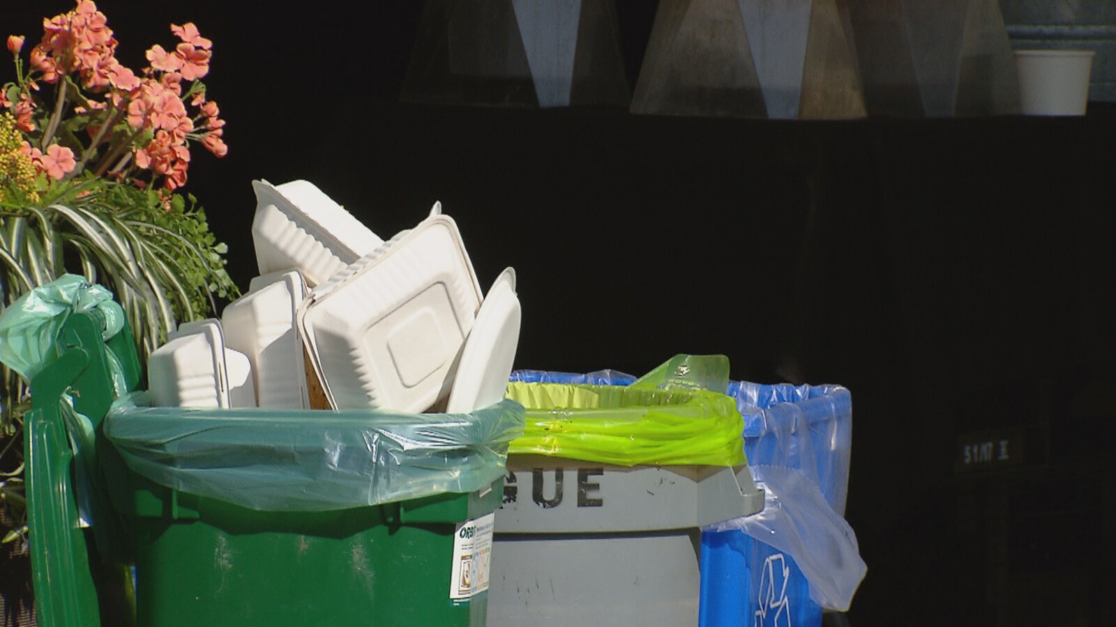 Des poubelles de recyclage désignées pour la nourriture et les objets en plastique.