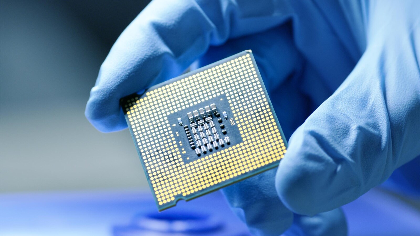 Gros plan sur une puce informatique tenue par la main d'une personne dans un gant de caoutchouc bleu.