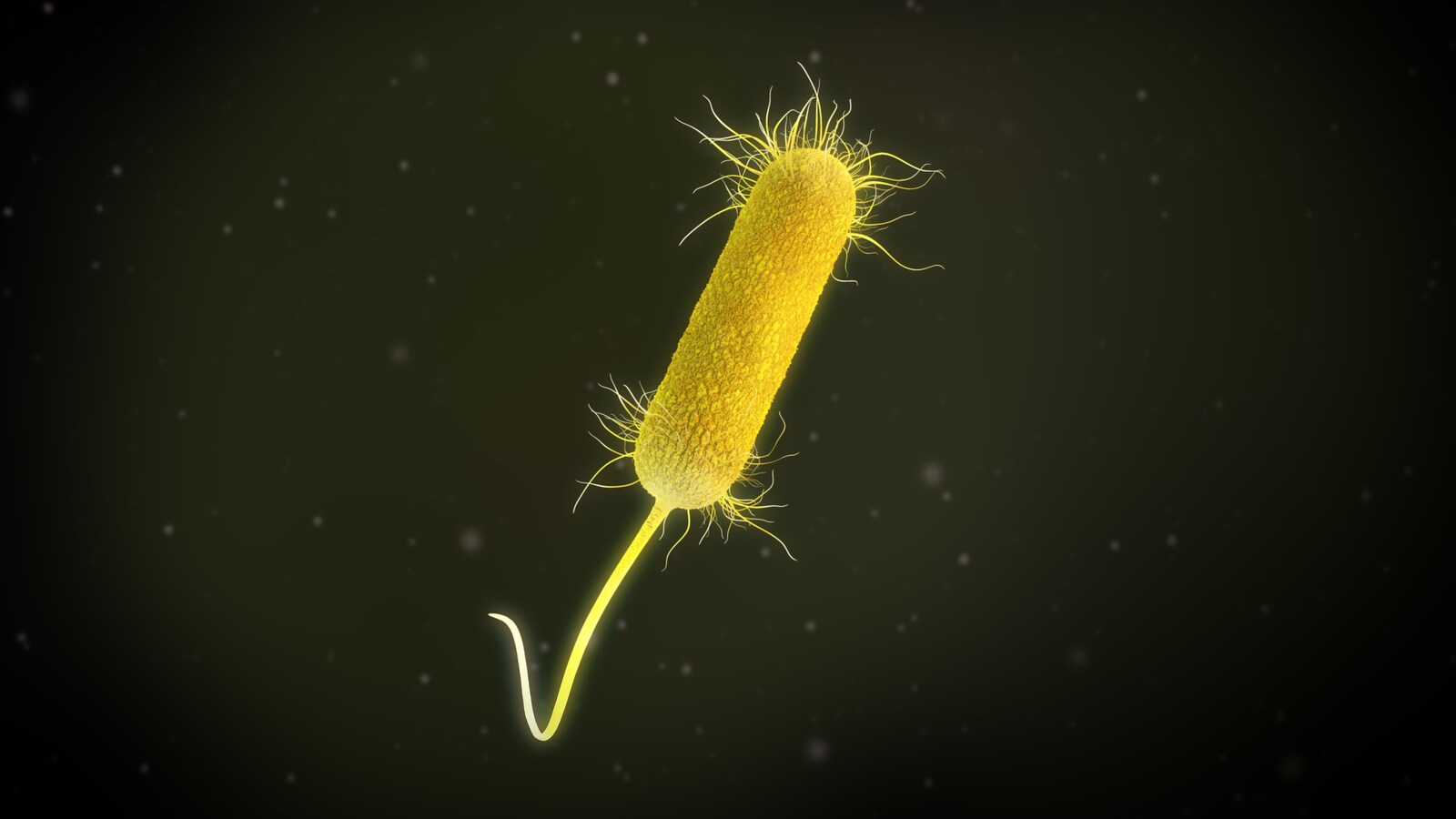 illustration 3D d'une bactérie Pseudomonas aeruginosa.