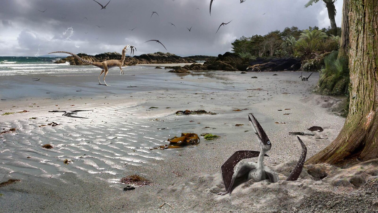 Illustration de ptérosaures sur une plage du crétacé.