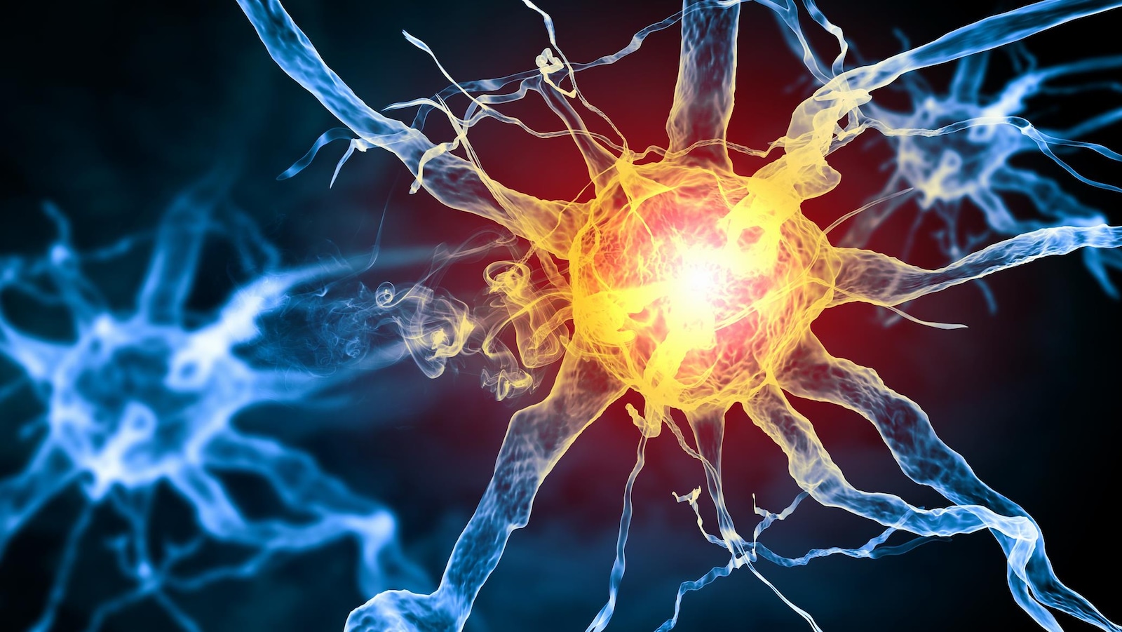 lIlustration d'une cellule qui transmet un influx nerveux.